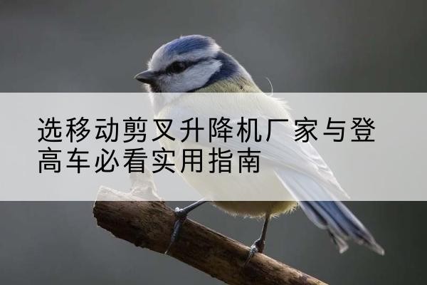 沁阳电动升降机厂家-选移动剪叉升降机厂家与登高车必看实用指南
