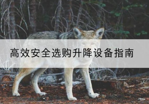 沁阳升降货梯厂家推荐-*安全选购升降设备指南